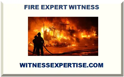 FIRE EXPERT WITNESS