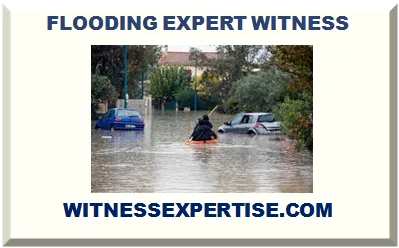 FLOODS EXPERT WITNESS