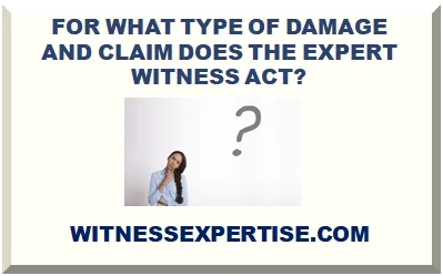 FOR WHAT TYPE OF DAMAGE AND CLAIM DOES THE EXPERT WITNESS ACT?