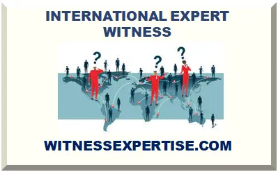 INTERNATIONAL EXPERT WITNESS