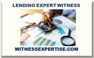 LOAN EXPERT WITNESS