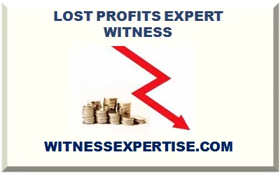 LOST PROFITS EXPERT WITNESS