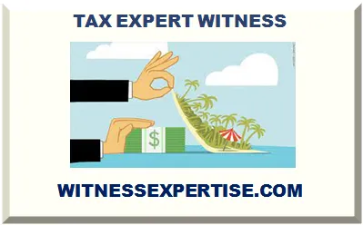 TAX EXPERT WITNESS