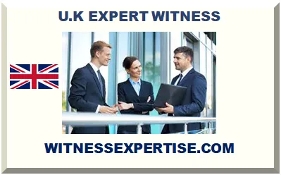 UK EXPERT WITNESS