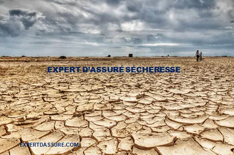 EXPERT D’ASSURÉ SÉCHERESSE