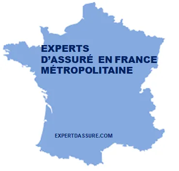 FRANCE EXPERT D’ASSURÉ